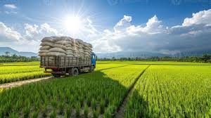 Direct Farm Sourcing